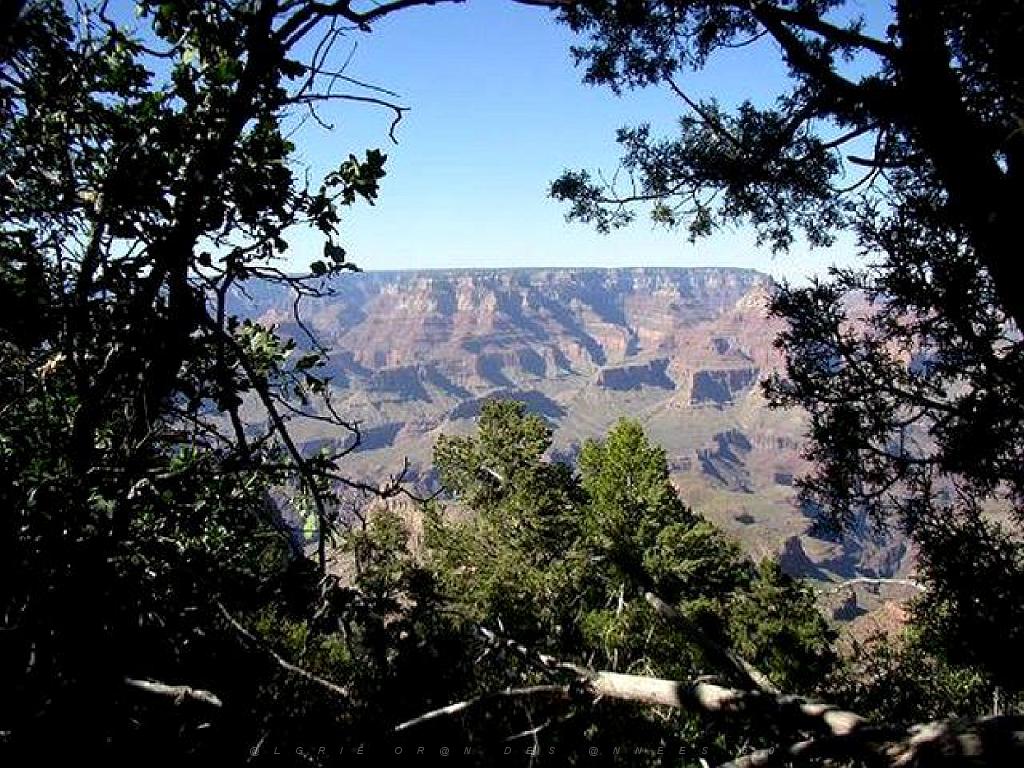 107  USA LE GRAND CANYON 2005_000024.jpg